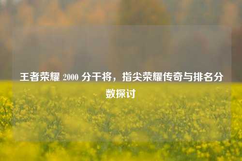 王者荣耀 2000 分干将,指尖荣耀传奇与排名分数探讨