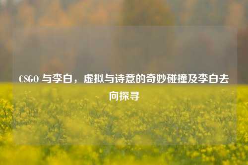 CSGO 与李白，虚拟与诗意的奇妙碰撞及李白去向探寻