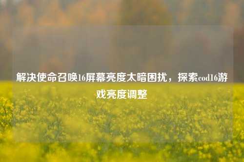 解决使命召唤16屏幕亮度太暗困扰,探索cod16游戏亮度调整