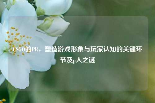 CSGO的PR,塑造游戏形象与玩家认知的关键环节及p人之谜