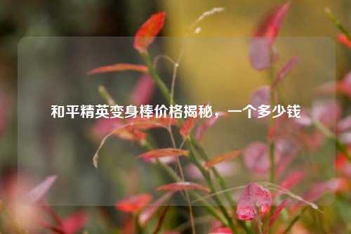 和平精英变身棒价格揭秘,一个多少钱