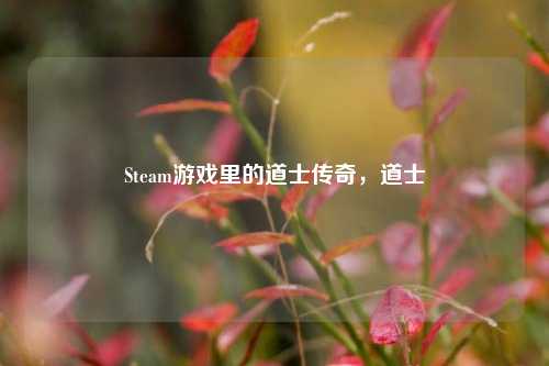 Steam游戏里的道士传奇,道士