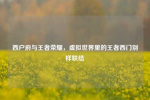 西户府与王者荣耀，虚拟世界里的王者西门别样联结