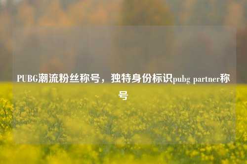 PUBG潮流粉丝称号，独特身份标识pubg partner称号