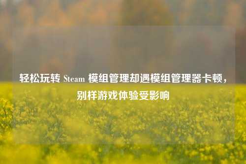 轻松玩转 Steam 模组管理却遇模组管理器卡顿,别样游戏体验受影响