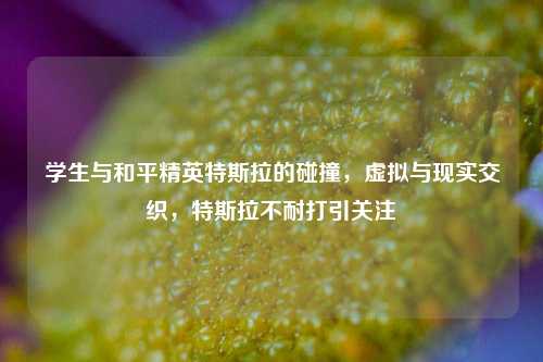 学生与和平精英特斯拉的碰撞，虚拟与现实交织，特斯拉不耐打引关注