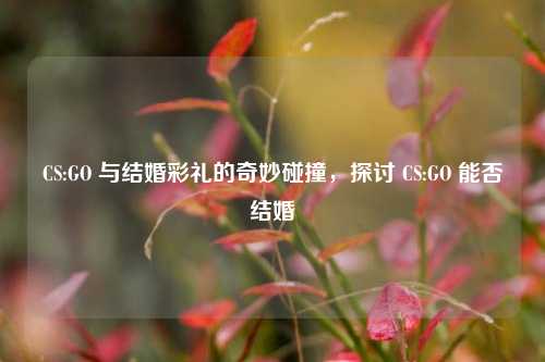 CS:GO 与结婚彩礼的奇妙碰撞，探讨 CS:GO 能否结婚