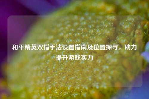 和平精英双指手法设置指南及位置探寻，助力提升游戏实力