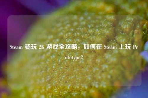Steam 畅玩 2K 游戏全攻略,如何在 Steam 上玩 Prototype2