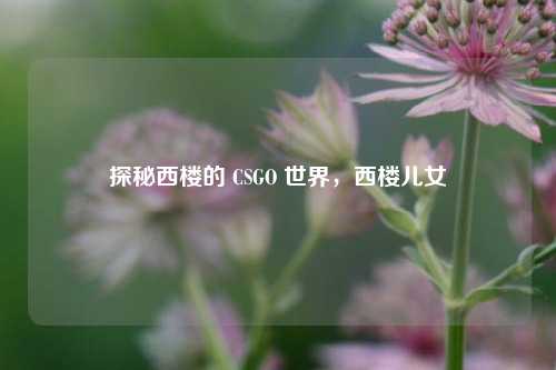 探秘西楼的 CSGO 世界，西楼儿女