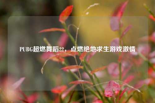 PUBG超燃舞蹈22,点燃绝地求生游戏激情