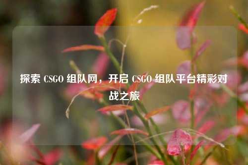 探索 CSGO 组队网,开启 CSGO 组队平台精彩对战之旅