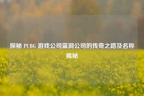 探秘 PUBG 游戏公司蓝洞公司的传奇之路及名称揭秘