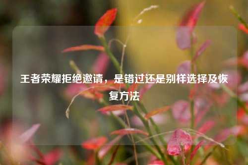 王者荣耀拒绝邀请,是错过还是别样选择及恢复方法