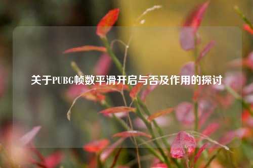 关于PUBG帧数平滑开启与否及作用的探讨