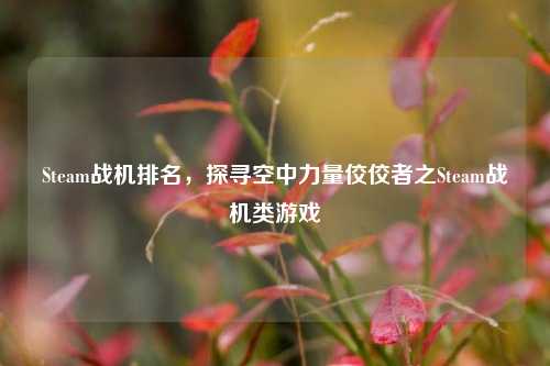 Steam战机排名,探寻空中力量佼佼者之Steam战机类游戏
