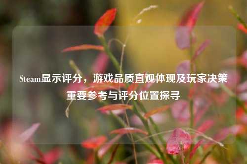 Steam显示评分,游戏品质直观体现及玩家决策重要参考与评分位置探寻