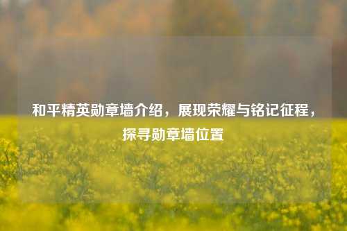 和平精英勋章墙介绍,展现荣耀与铭记征程,探寻勋章墙位置