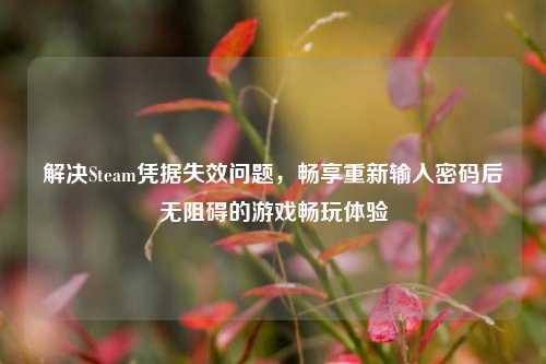 解决Steam凭据失效问题，畅享重新输入密码后无阻碍的游戏畅玩体验
