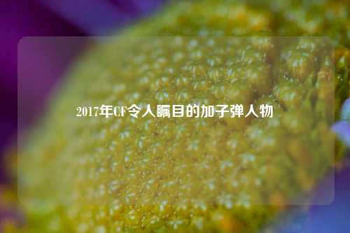 2017年CF令人瞩目的加子弹人物