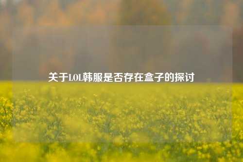 关于LOL韩服是否存在盒子的探讨