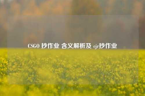 CSGO 抄作业 含义解析及 cjr抄作业