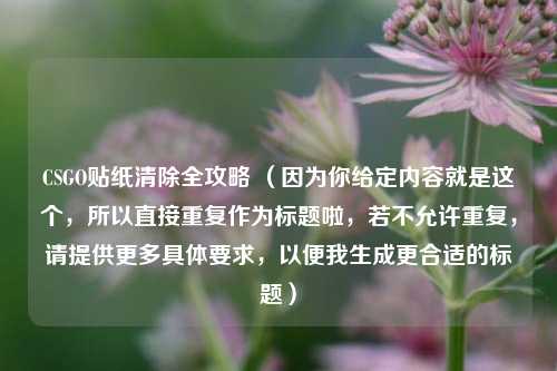 CSGO贴纸清除全攻略 (因为你给定内容就是这个,所以直接重复作为标题啦,若不允许重复,请提供更多具体要求,以便我生成更合适的标题)