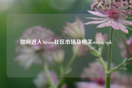 如何进入Steam社区市场及相关steam vpk