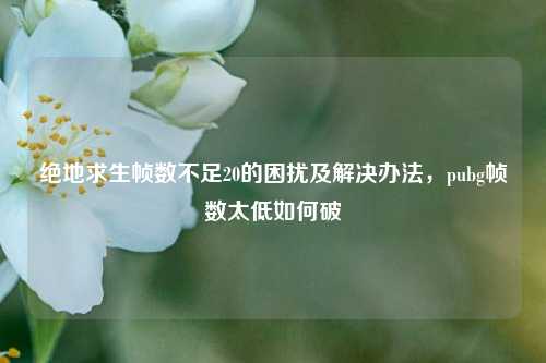 绝地求生帧数不足20的困扰及解决办法,pubg帧数太低如何破