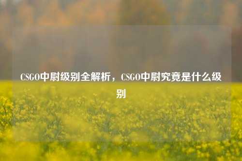 CSGO中尉级别全解析,CSGO中尉究竟是什么级别