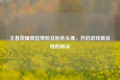 王者荣耀微信带粉及粉色头像,开启游戏新征程的秘诀