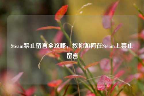 Steam禁止留言全攻略,教你如何在Steam上禁止留言
