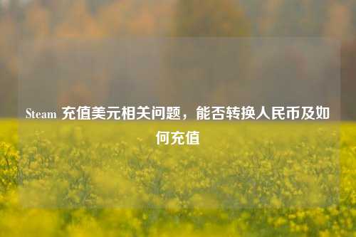Steam 充值美元相关问题,能否转换人民币及如何充值