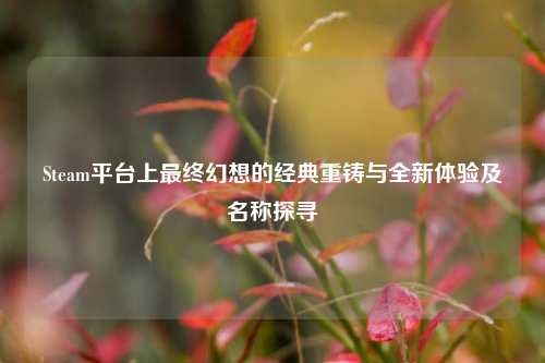 Steam平台上最终幻想的经典重铸与全新体验及名称探寻