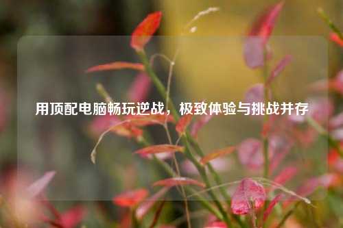 用顶配电脑畅玩逆战，极致体验与挑战并存