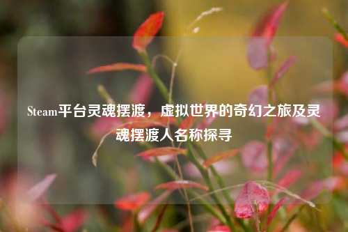 Steam平台灵魂摆渡，虚拟世界的奇幻之旅及灵魂摆渡人名称探寻