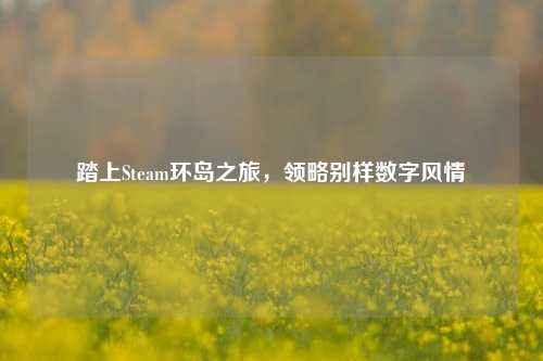 踏上Steam环岛之旅，领略别样数字风情