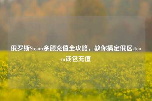 俄罗斯Steam余额充值全攻略,教你搞定俄区steam钱包充值