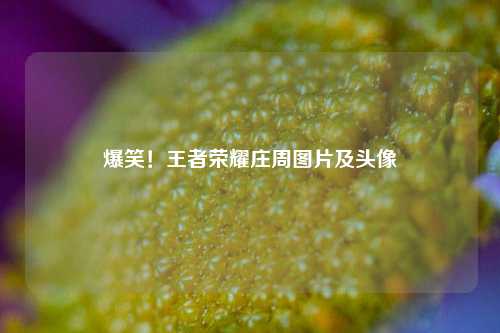 爆笑!王者荣耀庄周图片及头像