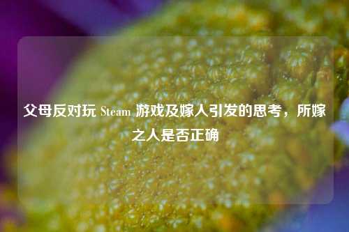 父母反对玩 Steam 游戏及嫁人引发的思考,所嫁之人是否正确