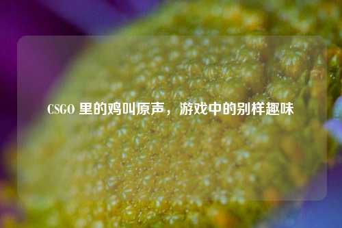 CSGO 里的鸡叫原声,游戏中的别样趣味