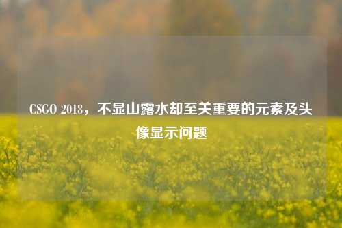 CSGO 2018，不显山露水却至关重要的元素及头像显示问题