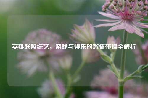英雄联盟综艺,游戏与娱乐的激情碰撞全解析