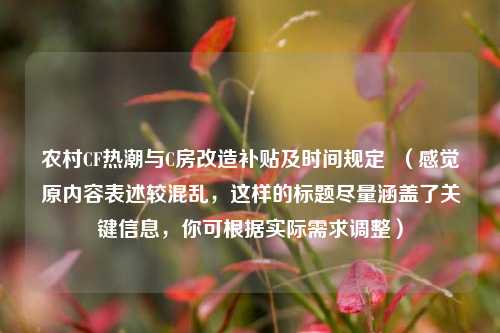 农村CF热潮与C房改造补贴及时间规定 (感觉原内容表述较混乱,这样的标题尽量涵盖了关键信息,你可根据实际需求调整)