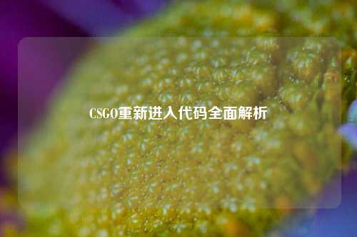 CSGO重新进入代码全面解析