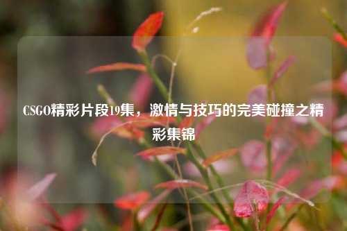 CSGO精彩片段19集,激情与技巧的完美碰撞之精彩集锦