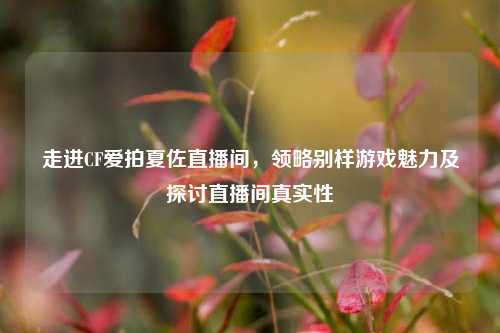 走进CF爱拍夏佐直播间,领略别样游戏魅力及探讨直播间真实性