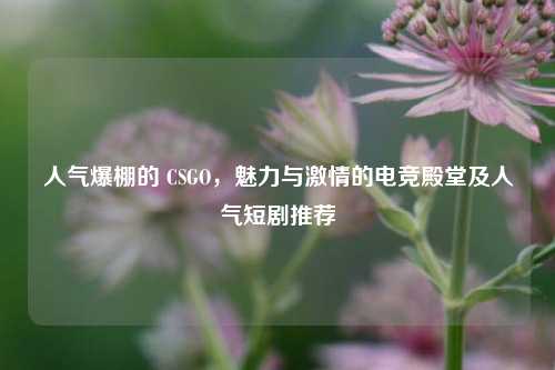 人气爆棚的 CSGO,魅力与激情的电竞殿堂及人气短剧推荐