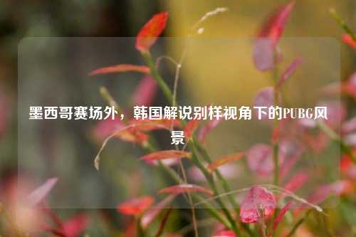 墨西哥赛场外，韩国解说别样视角下的PUBG风景