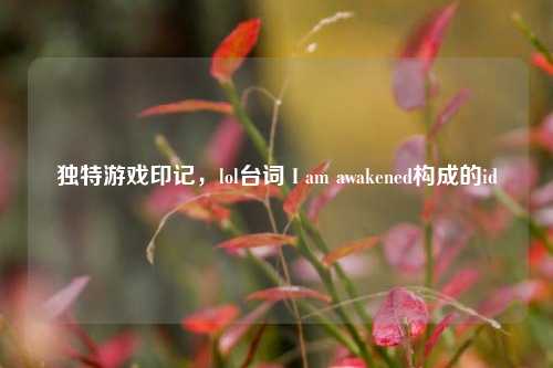 独特游戏印记,lol台词 I am awakened构成的id